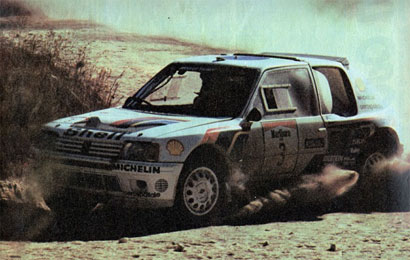 Rally de Argentina de 1985